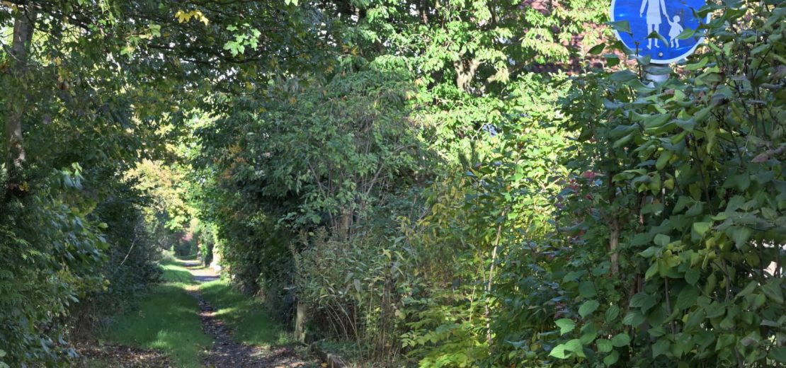 verwilderter Fußgängerweg