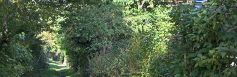 Verwilderter Fußgängerweg – Verweis auf andere gut ausgebaute Gehwege ausreichend?