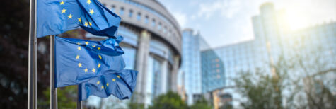 Ausblick 2022: Viele Umweltthemen auf der Agenda der EU-Kommission