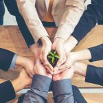 Nachhaltigkeit managen