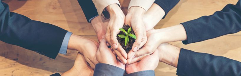 Nachhaltigkeit managen – ein Vorschlag zur Einführung Nachhaltigkeit managen
