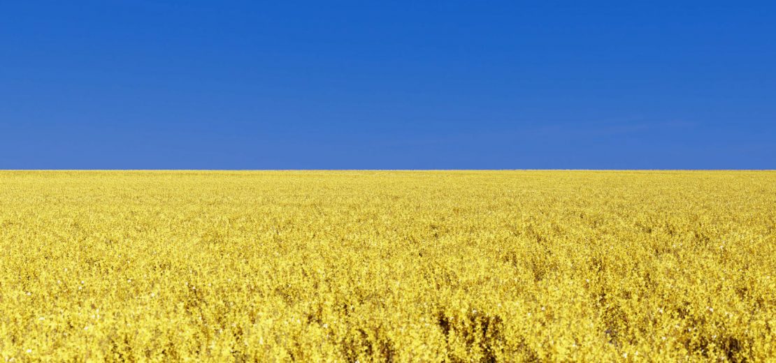 Transportwege Getreide Ukraine
