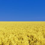 Transportwege Getreide Ukraine
