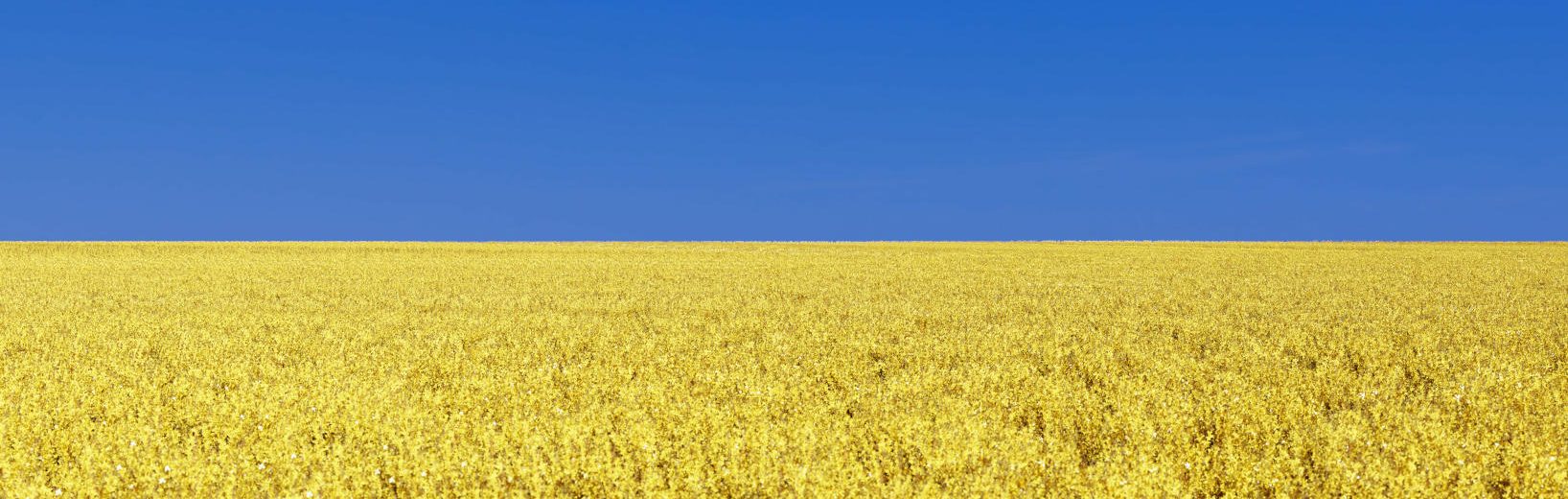 Transportwege für Getreide aus der Ukraine Transportwege Getreide Ukraine