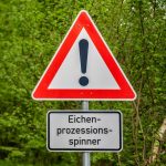 Eichenprozessionsspinner Nester beseitigen