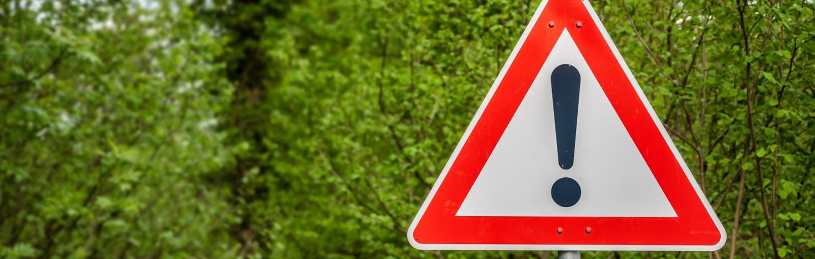 Eichenprozessionsspinner: Müssen Eigentümer Nester beseitigen? Eichenprozessionsspinner Nester beseitigen