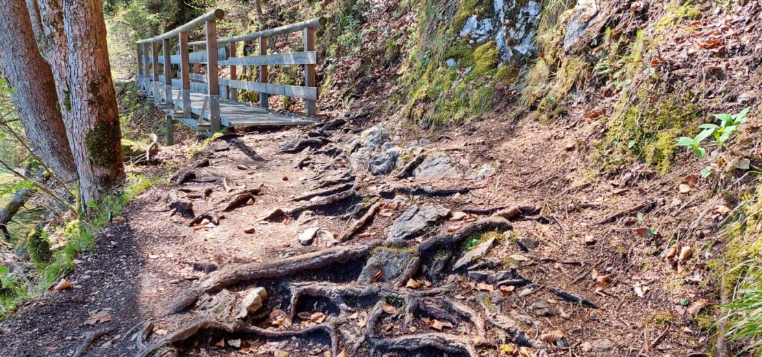 Verkehrssicherungspflicht Wanderwege
