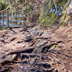 Verkehrssicherungspflicht Wanderwege