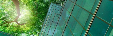 Betrieblicher Umweltschutz: So gelingt die Umsetzung