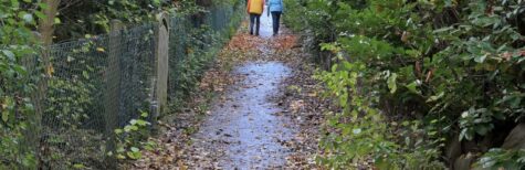 Reinigungs-, Räum-, und Streupflicht auf Straßenanlieger übertragen?