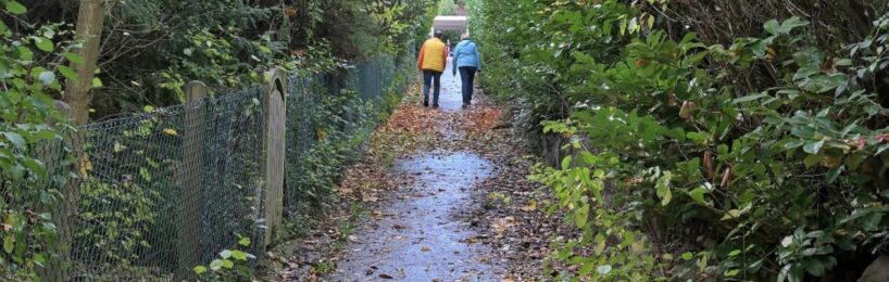 Reinigungs-, Räum-, und Streupflicht auf Straßenanlieger übertragen? Räumpflicht Streupflicht Straßenanlieger