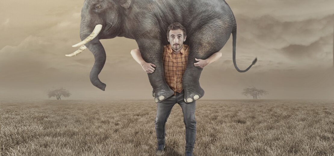 Ein Mann trägt einen Elefanten durch die Steppe; Symbolbild für die Gefährdungsbeurteilung psychischer Belastungen