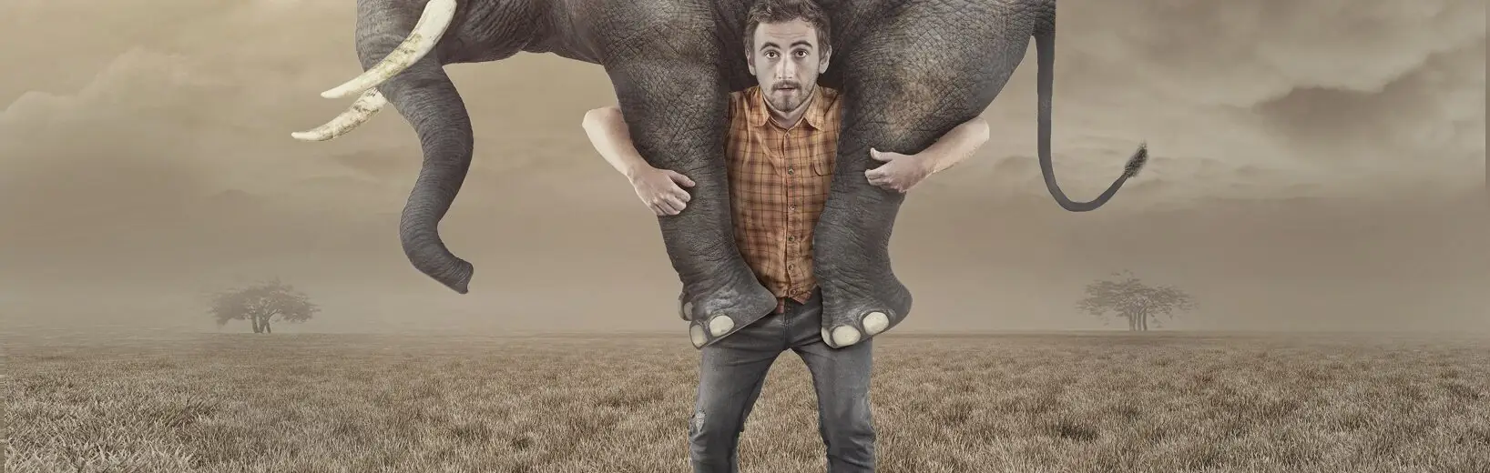 Gefährdungsbeurteilung psychische Belastung: So geht’s Ein Mann trägt einen Elefanten durch die Steppe; Symbolbild für die Gefährdungsbeurteilung psychischer Belastungen