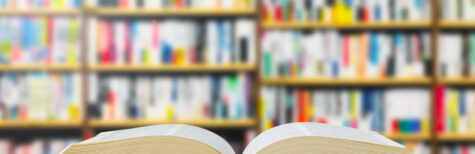 Die UG: Definition und Besonderheiten