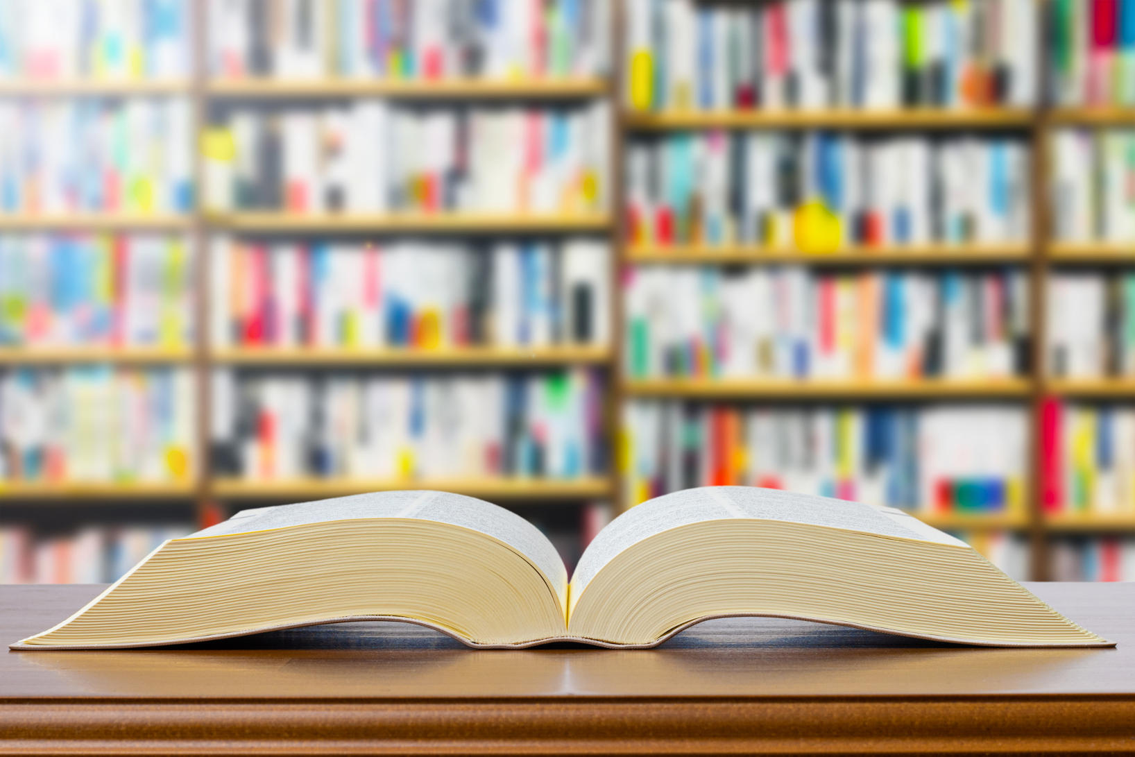 Die UG Definition und Besonderheiten WEKA