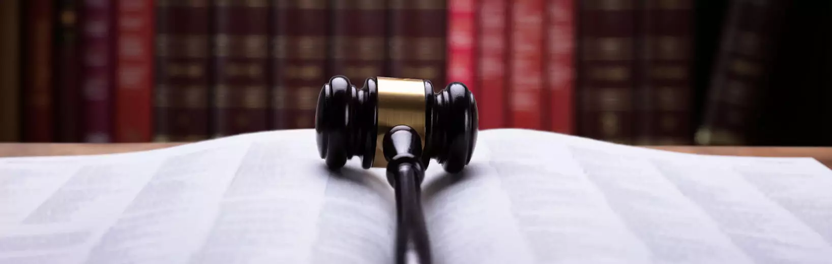 Rechtsprechung zur UG