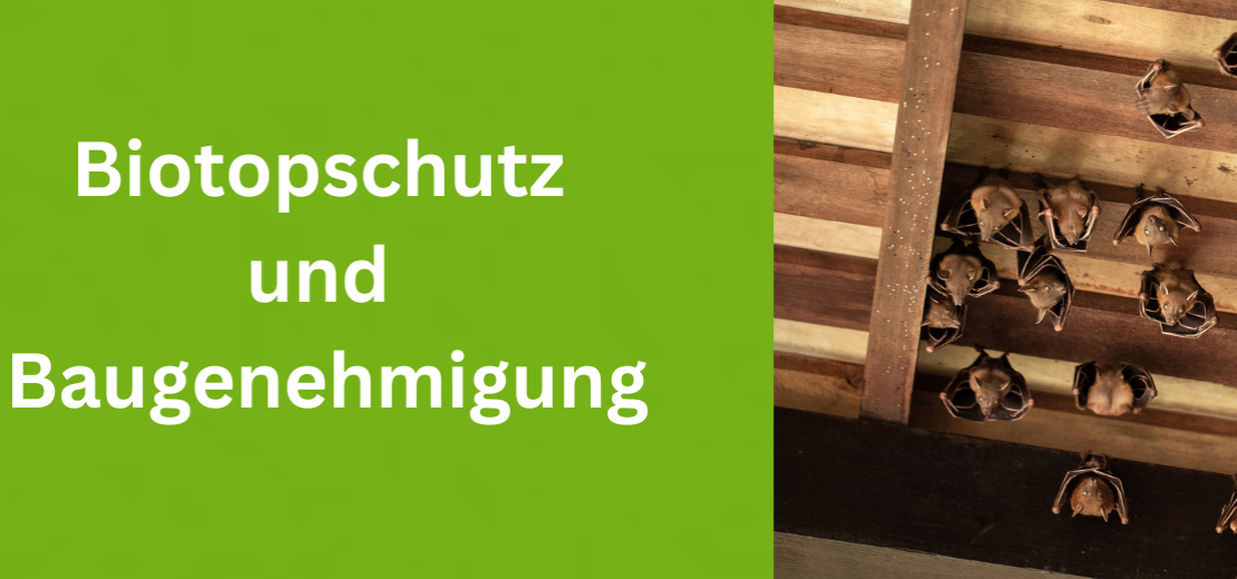 Biotopschutz