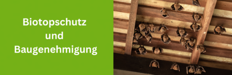Biotopschutz und Baugenehmigung