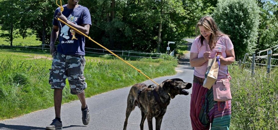 Beim Reinigen der Leine vor dem Verbringen eines Hundes in einen PKW ereignete sich ein schwerer Beißvorfall.