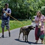 Beim Reinigen der Leine vor dem Verbringen eines Hundes in einen PKW ereignete sich ein schwerer Beißvorfall.
