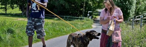 Welchen Umfang hat die Anleinpflicht für Hunde?
