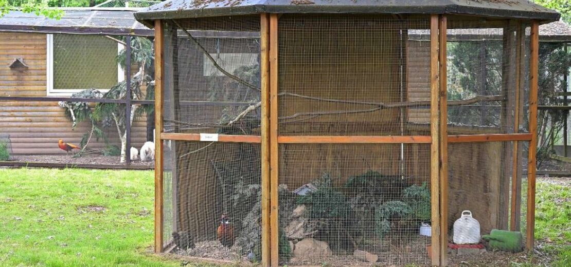 Ist es zulässig, auf einem Wohngrundstück 148 Vögel verschiedenster Art in 11 Volieren zu halten?