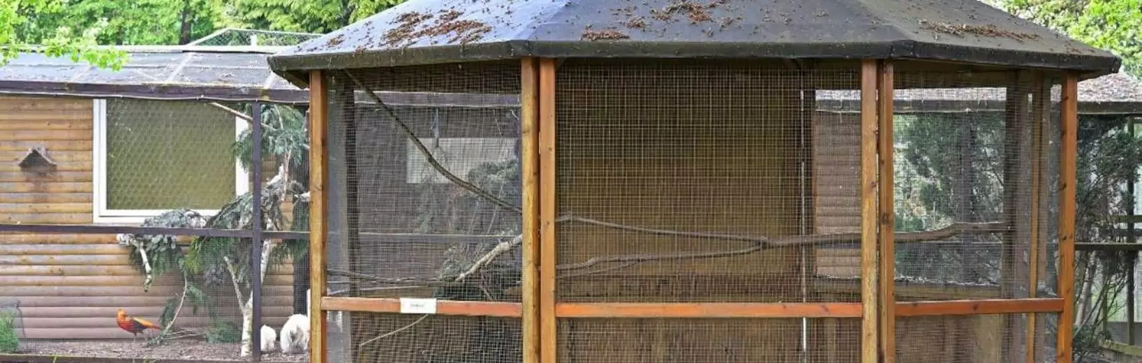 Ist es zulässig, auf einem Wohngrundstück 148 Vögel verschiedenster Art in 11 Volieren zu halten?