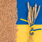 Getreide aus Ukraine