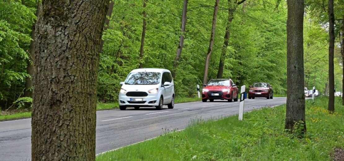 Ein Autofahrer stieß gegen einen auf die Straße gestürzten Baum. Die Gemeinde lehnte die Verantwortung dafür ab und berief sich auf eine vor Kurzem durchgeführte Baumkontrolle.