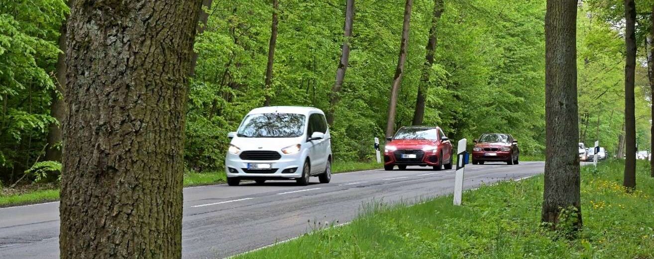 Ein Autofahrer stieß gegen einen auf die Straße gestürzten Baum. Die Gemeinde lehnte die Verantwortung dafür ab und berief sich auf eine vor Kurzem durchgeführte Baumkontrolle.