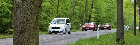 In welchem Umfang sind Straßenbäume im Rahmen der Verkehrssicherungspflicht zu kontrollieren?