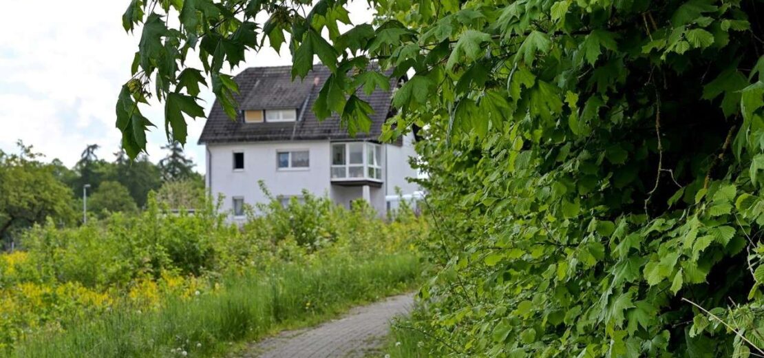 Hinzugezogene Nachbarn verklagten ihren Nachbarn wegen überhängender Äste. Dieser wehrte sich mit einem Gutachten eines Baumsachverständigen.