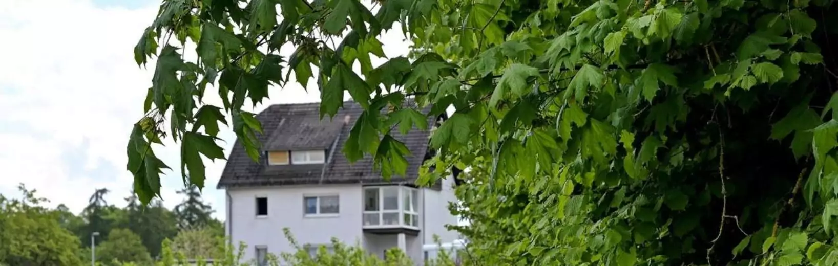 Hinzugezogene Nachbarn verklagten ihren Nachbarn wegen überhängender Äste. Dieser wehrte sich mit einem Gutachten eines Baumsachverständigen.