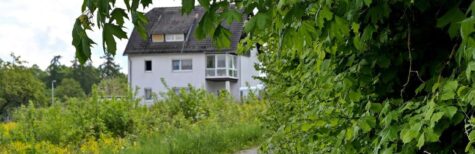 Anspruch auf Rückschnitt überwachsender Bäume?