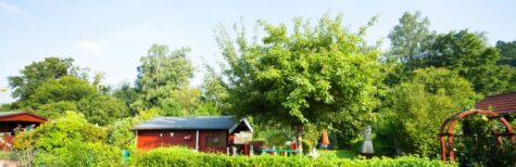 Bewusste Untätigkeit der Datenschutzaufsicht – darf das sein?