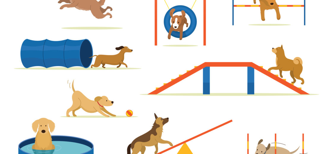 Lärm Hundespielplatz