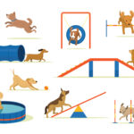 Lärm Hundespielplatz