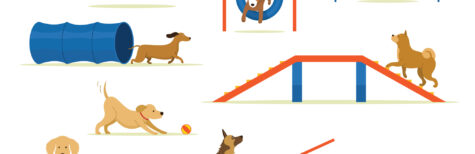Lärm Hundespielplatz