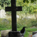 Kostenfestsetzung einer Bestattung