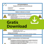 Gratis-Betriebsanweisung: Elektrische Handwerkzeuge