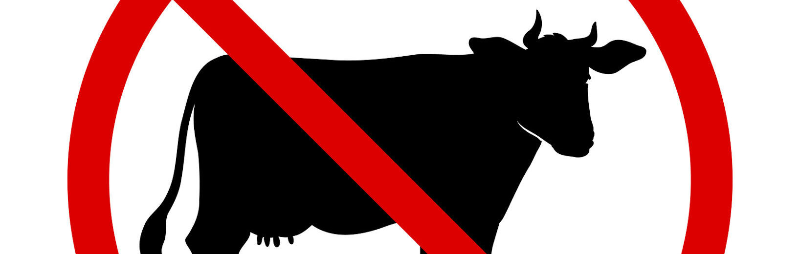 Anordnung des Sofortvollzugs