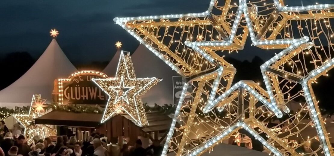 Weihnachtssterne