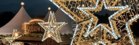Weihnachtssterne