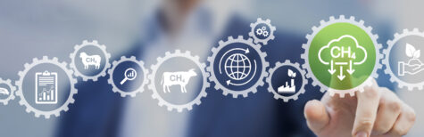 Den Klimawandel im Fokus: Amendment 1 betrifft 31 ISO-Normen ab sofort