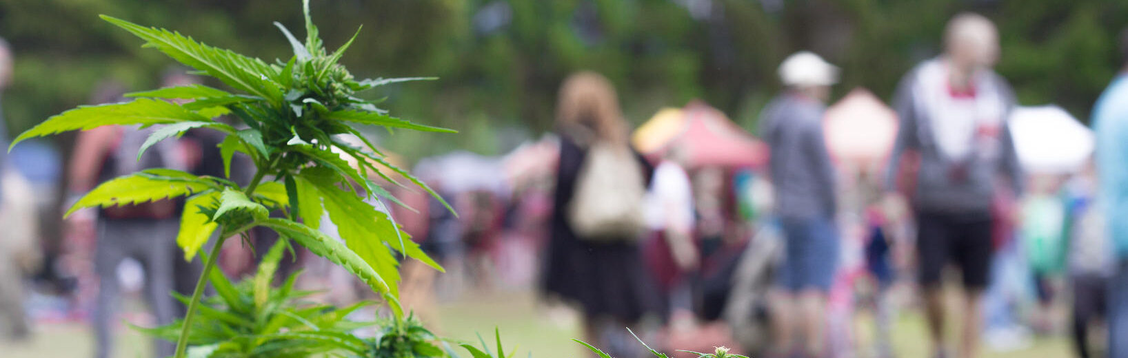 Darf der Konsum von Cannabis auf öffentlichen Veranstaltungen verboten werden?