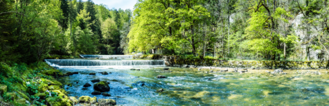 Renaturierungsgesetz