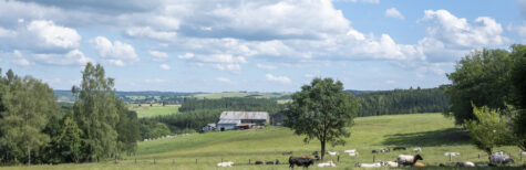 Gleichwertigkeitsbericht der Bundesregierung