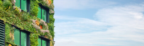 Dach- und Fassadenbegrünung an historischen Gebäuden