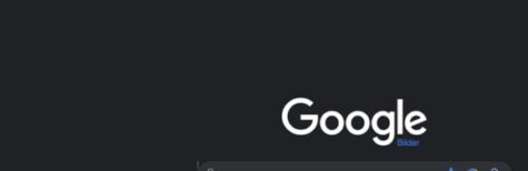 Tätersuche mit Google
