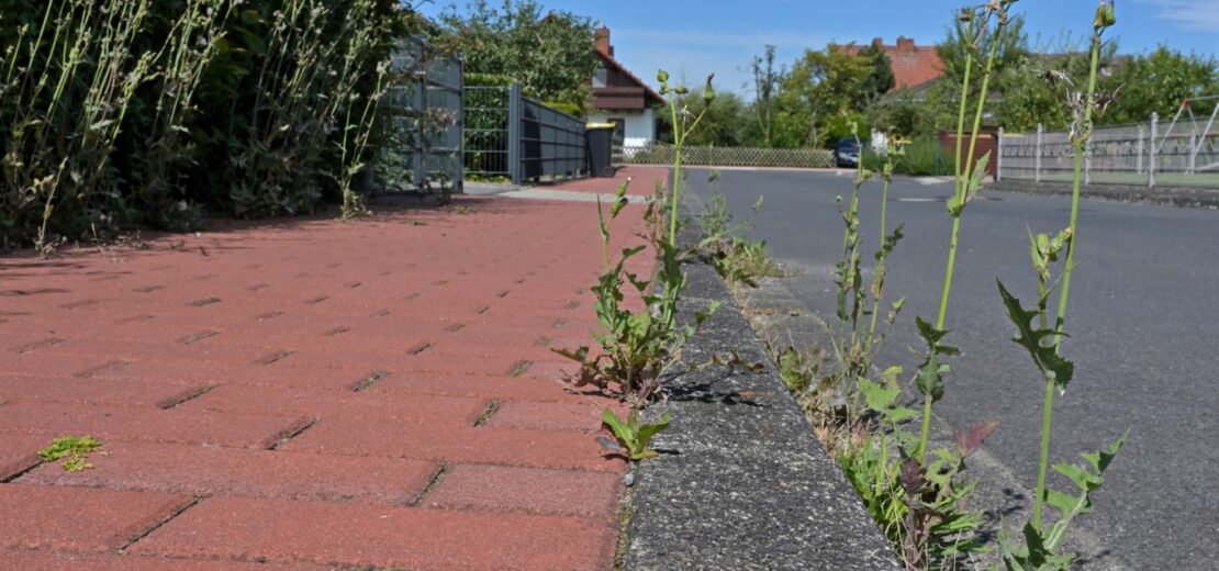 Straßenreinigungspflicht